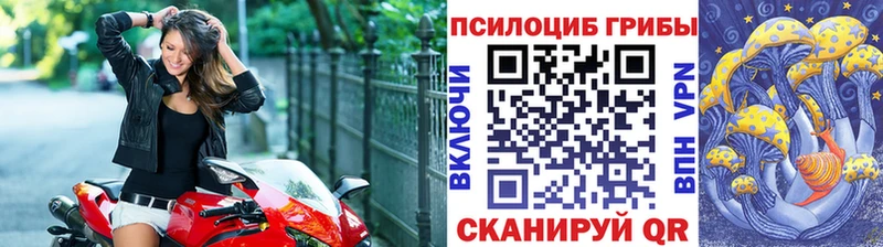 Псилоцибиновые грибы MAGIC MUSHROOMS  Купить где  Дигора 